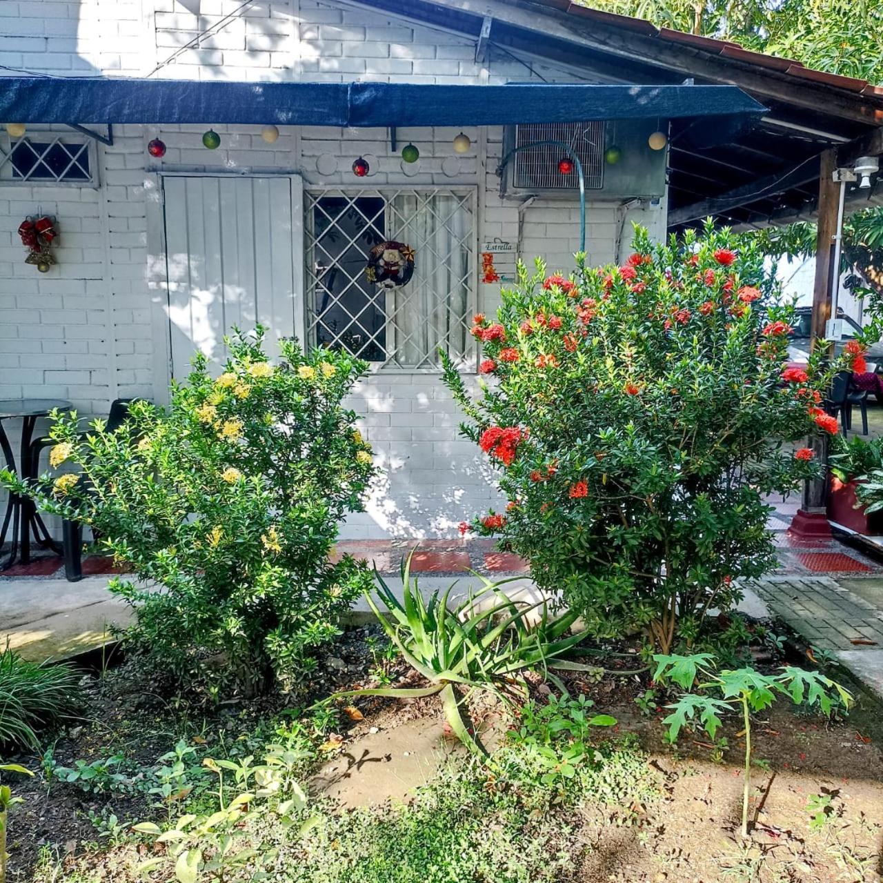 Hostal Corales Tolu Ngoại thất bức ảnh