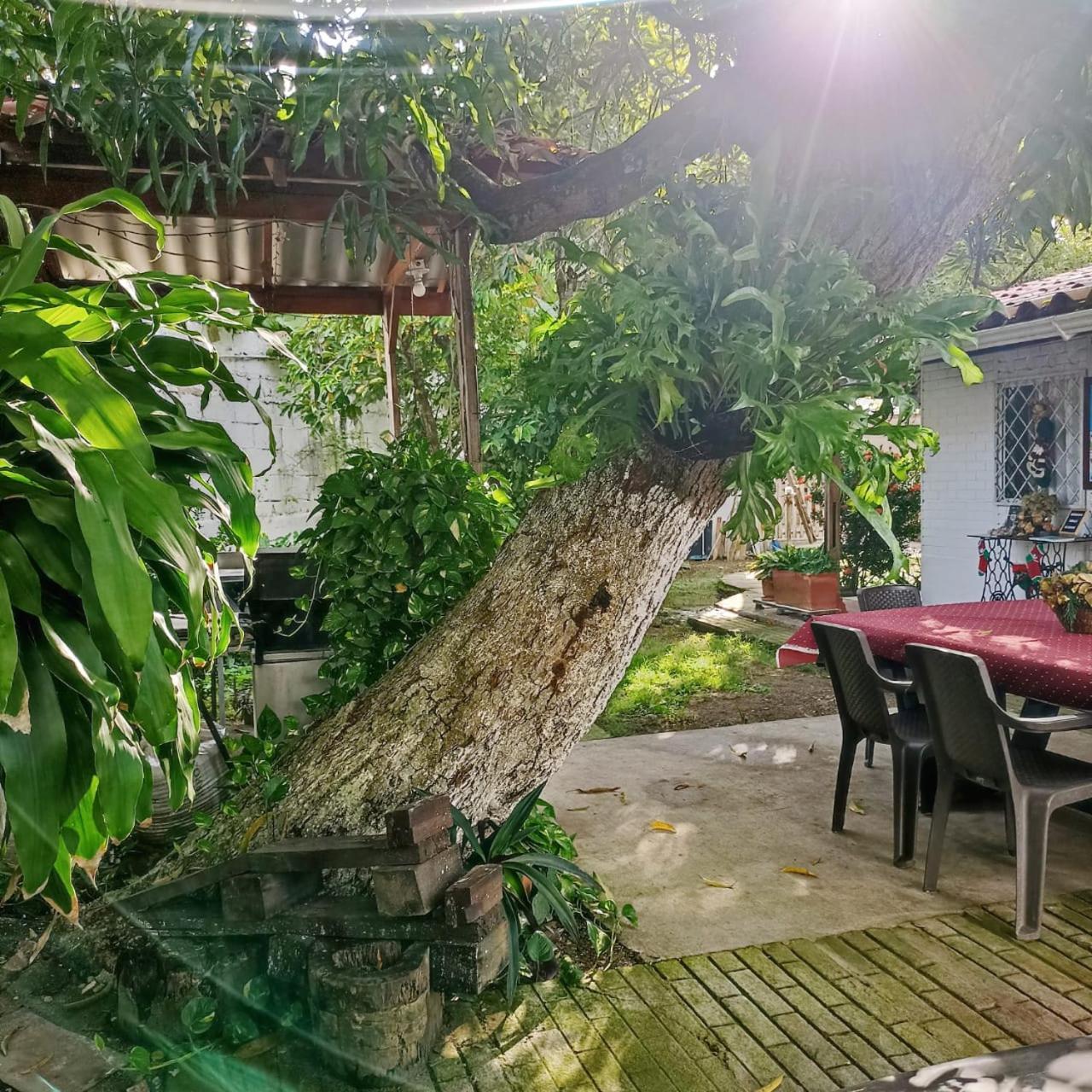 Hostal Corales Tolu Ngoại thất bức ảnh